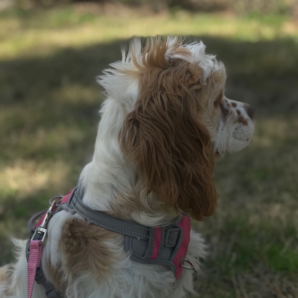 Meet your Posher, Naomi - Picture 8 of 11